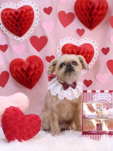 20240218ムーくん